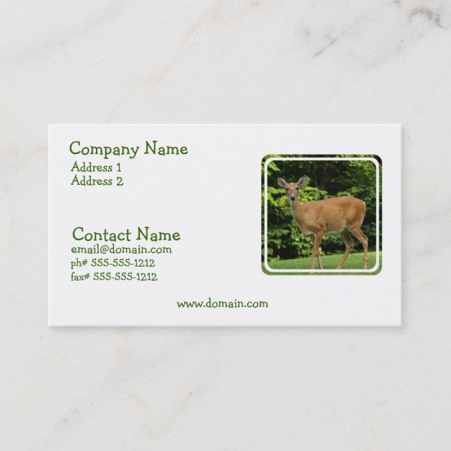 Carte de visite de cerfs communs (Devant)