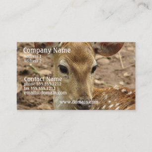Carte de visite de cerfs communs de Bambi