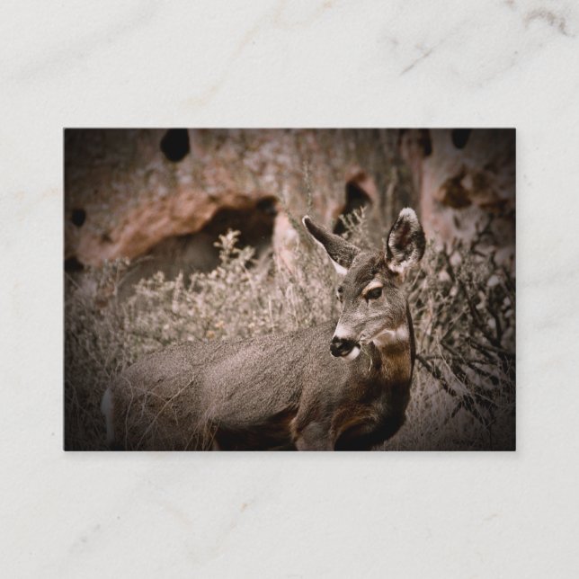Carte de visite de cerfs communs de mule (Devant)