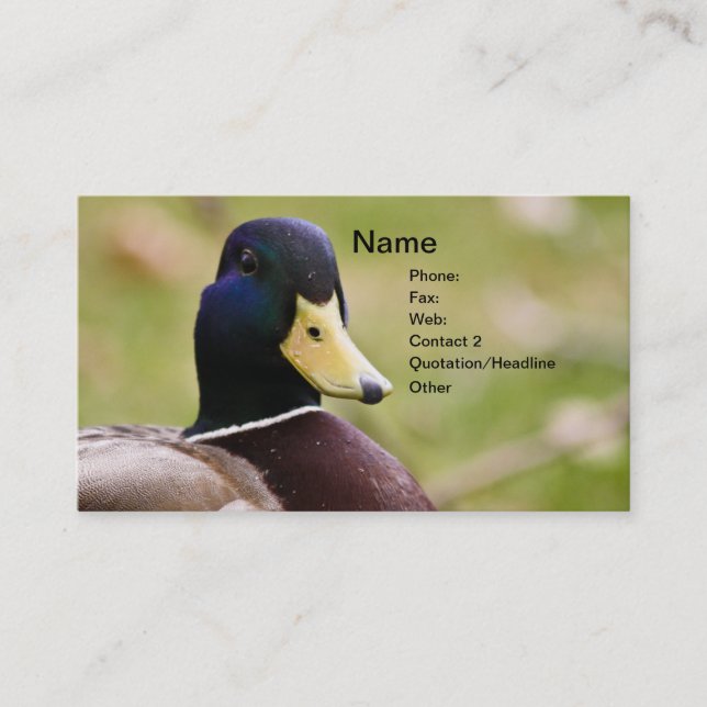 Carte de visite de chasse de canard (Devant)