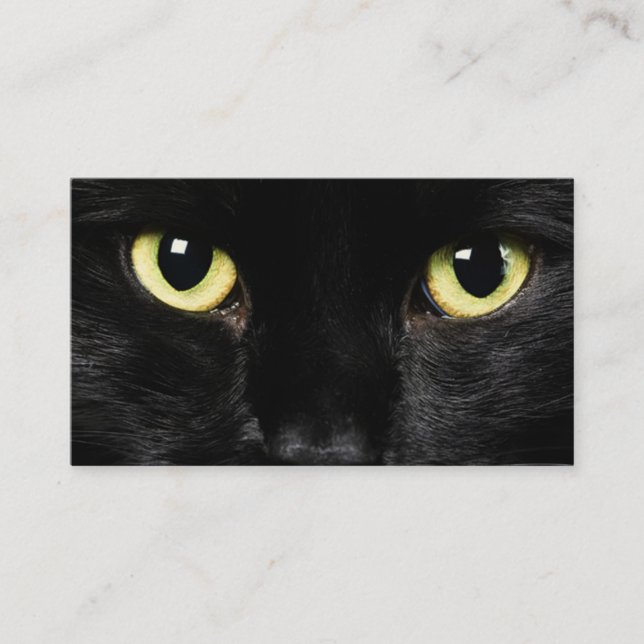 Carte de visite de chat (Devant)