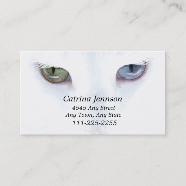 Carte de visite de chat aux yeux impétueux (Devant)