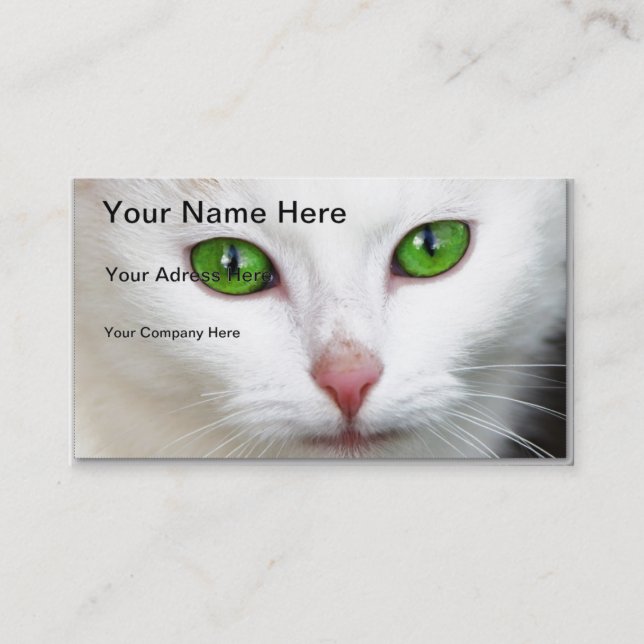 Carte de visite de chat blanc à l'oeil vert (Devant)