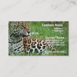 Carte de visite de chat de Jaguar