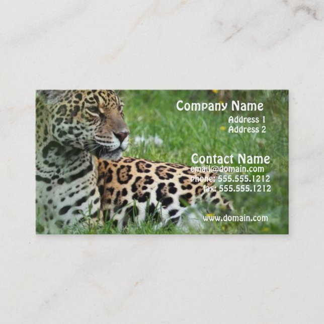 Carte de visite de chat de Jaguar (Devant)