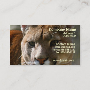 Carte de visite de chat de puma