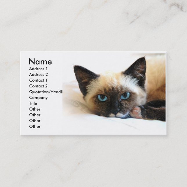 Carte de visite de chats de Siamese (Devant)