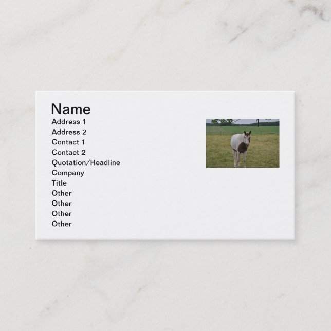 Carte de visite de cheval (Devant)