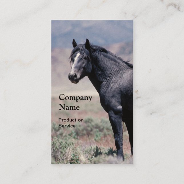 Carte de visite de cheval (Devant)