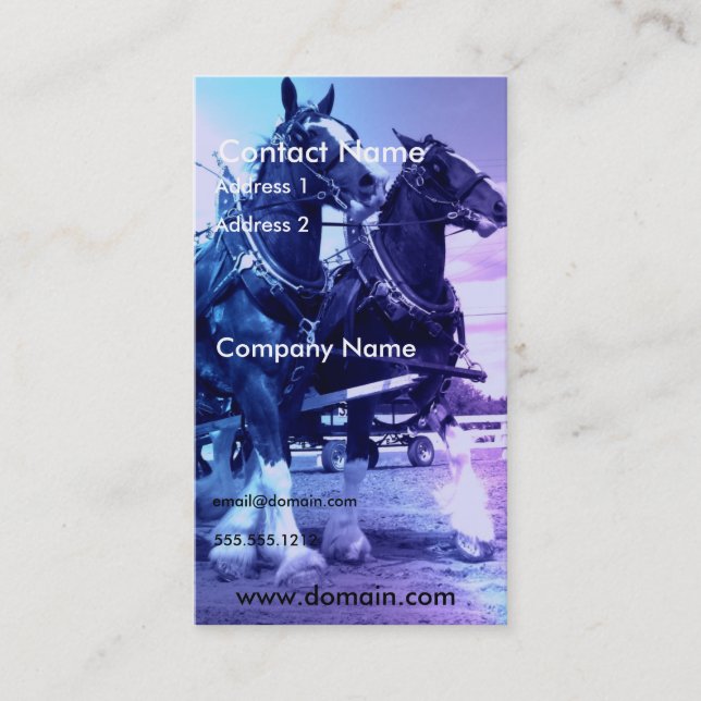 Carte de visite de cheval de Clydesdale (Devant)