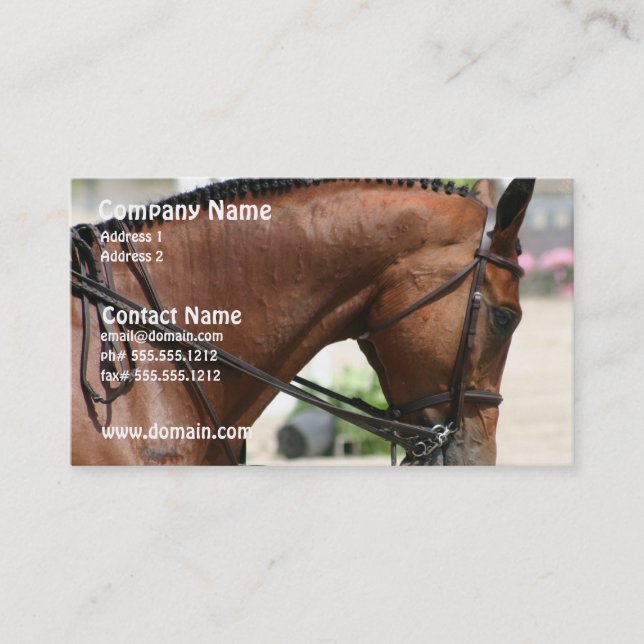 Carte de visite de cheval de dressage (Devant)