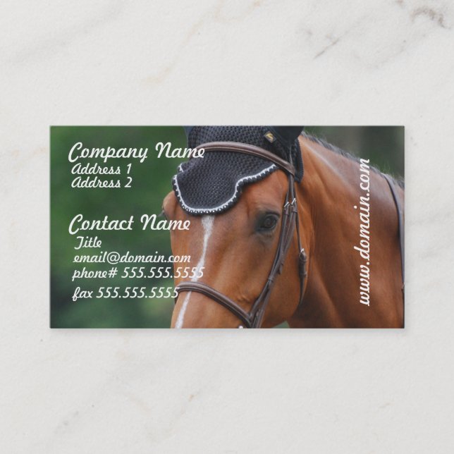 Carte de visite de cheval de Warmblood (Devant)