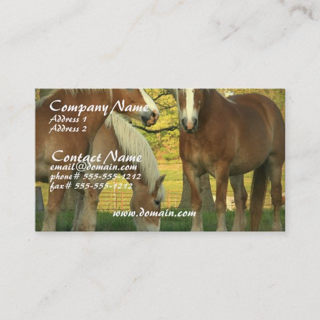 Carte de visite de chevaux de trait de palomino (Devant)