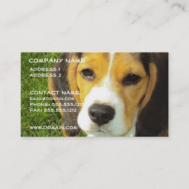 Carte de visite de chien de beagle (Devant)