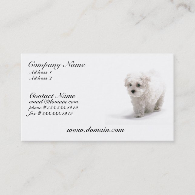 Carte de visite de chien de Bichon Frise (Devant)