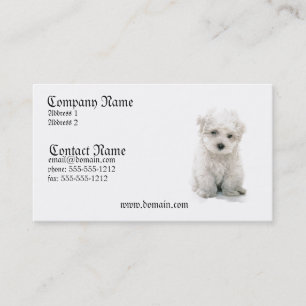 Carte de visite de chien de Bichon Frise