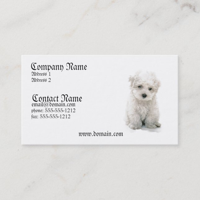 Carte de visite de chien de Bichon Frise (Devant)