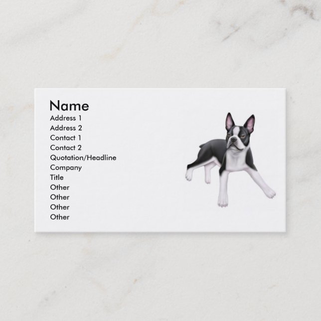 Carte de visite de chien de Boston Terrier (Devant)