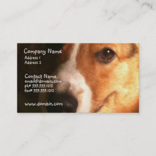 Carte de visite de chien de corgi de Gallois de