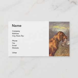Carte de visite de chien de poseur irlandais