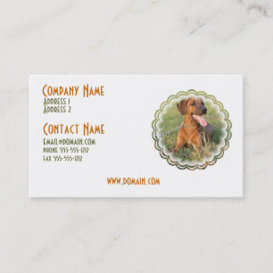 Carte de visite de chien de Rhodesian Ridgeback
