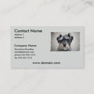 Carte de visite de chien de Schnauzer miniature