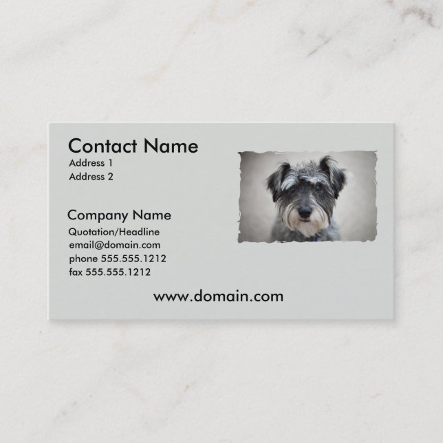 Carte de visite de chien de Schnauzer miniature (Devant)