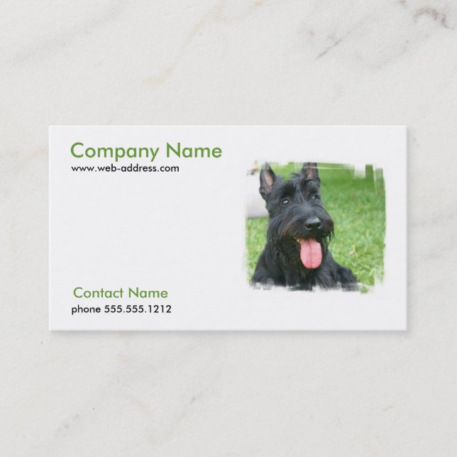 Carte de visite de chien de Terrier d'écossais (Devant)
