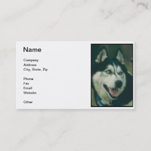 Carte de visite de chien de traîneau sibérien