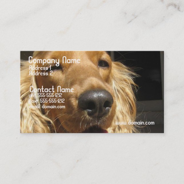 Carte de visite de chien d'épagneul (Devant)
