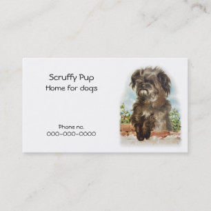 Carte de visite de chien hirsute
