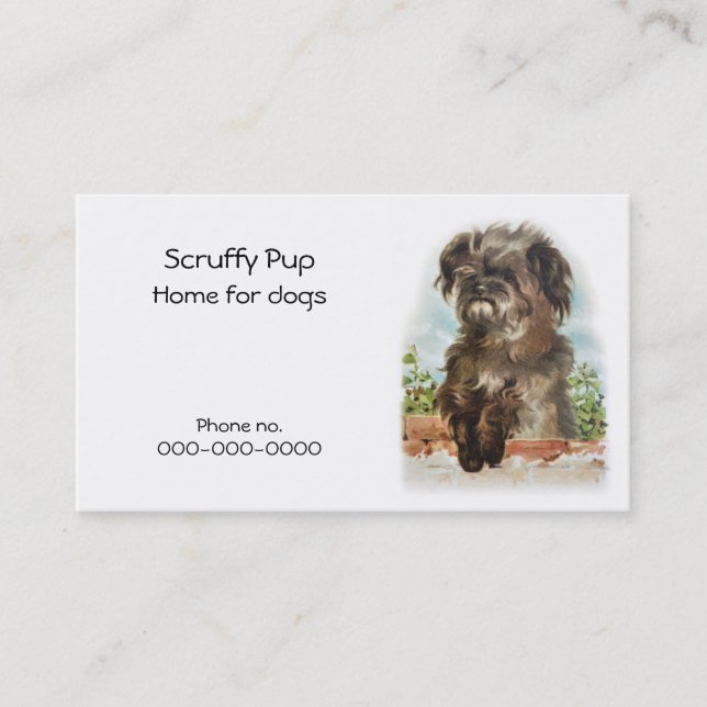 Carte de visite de chien hirsute (Devant)