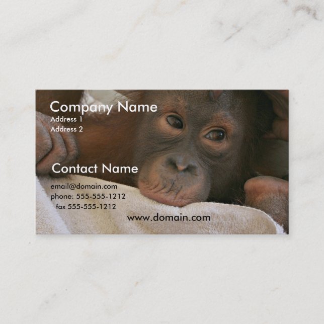 Carte de visite de chimpanzé de bébé (Devant)