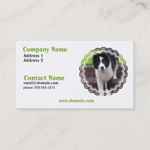 Carte de visite de chiot de border collie