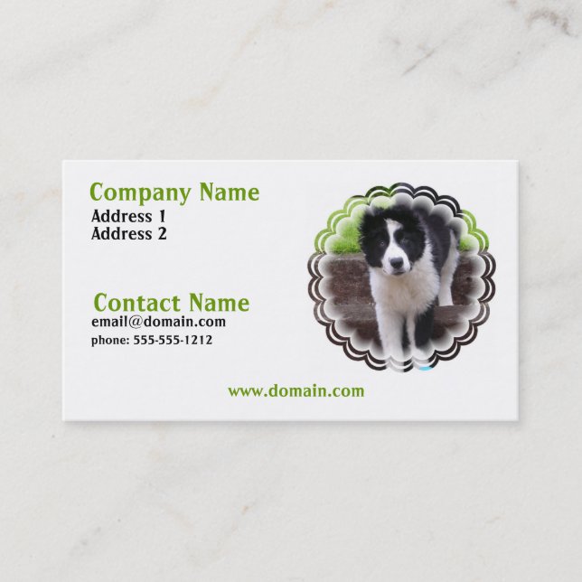 Carte de visite de chiot de border collie (Devant)