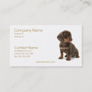 Carte de visite de chiot de Daschund
