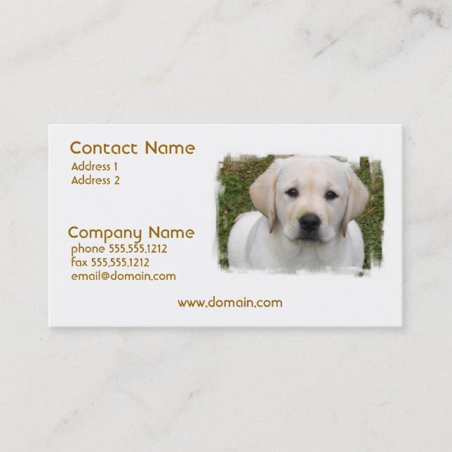 Carte de visite de chiot de golden retriever (Devant)