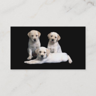 Carte de visite de chiots de labrador retriever
