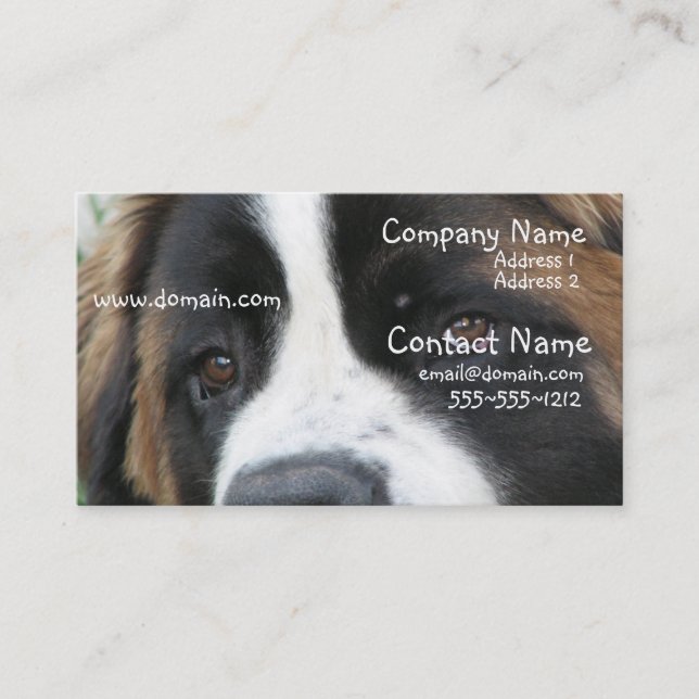 Carte de visite de chiots de St Bernard (Devant)