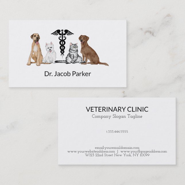 Carte de visite de clinique vétérinaire (Devant / Derrière)
