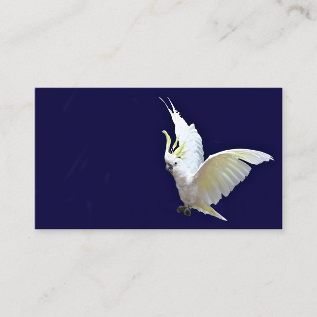 Carte de visite de cockatiel de vol (Devant)