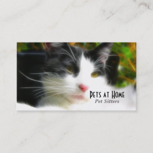 Carte de visite de conception de chats