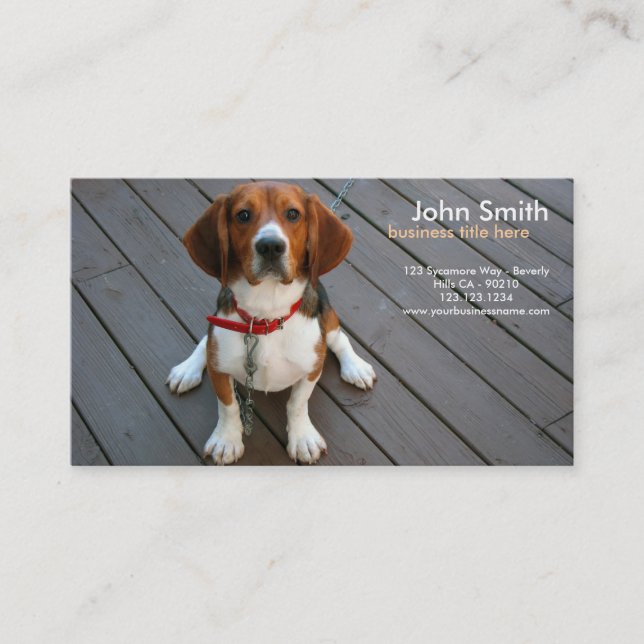 Carte de visite de conception de chien de beagle (Devant)