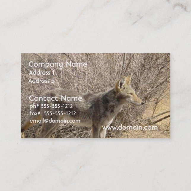 Carte de visite de conception de coyote (Devant)