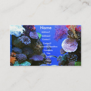 Carte de visite de corail