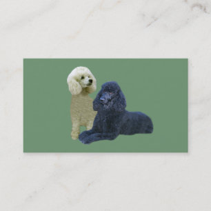 Carte de visite de couple de caniche
