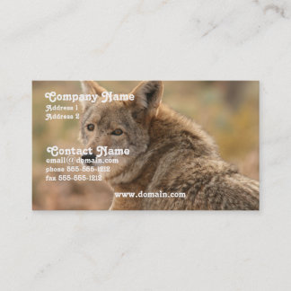 Carte de visite de coyote