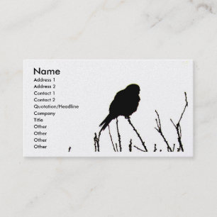 Carte de visite de crécerelle