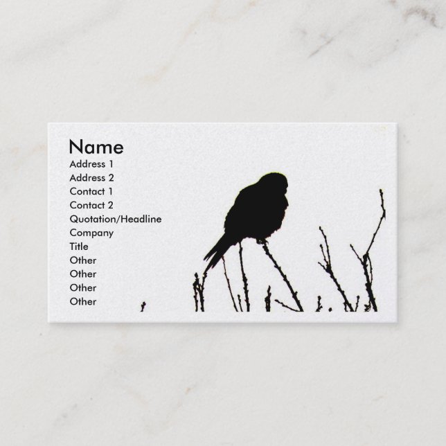 Carte de visite de crécerelle (Devant)