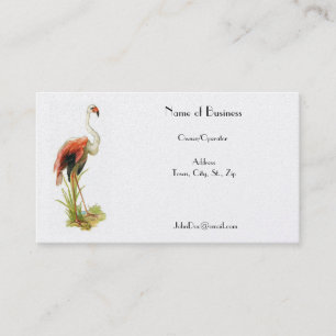 Carte de visite de cru de Flamant rose